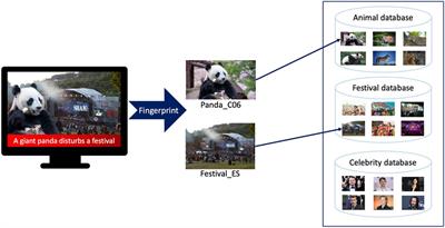 Video fingerprinting: Past, present, and future